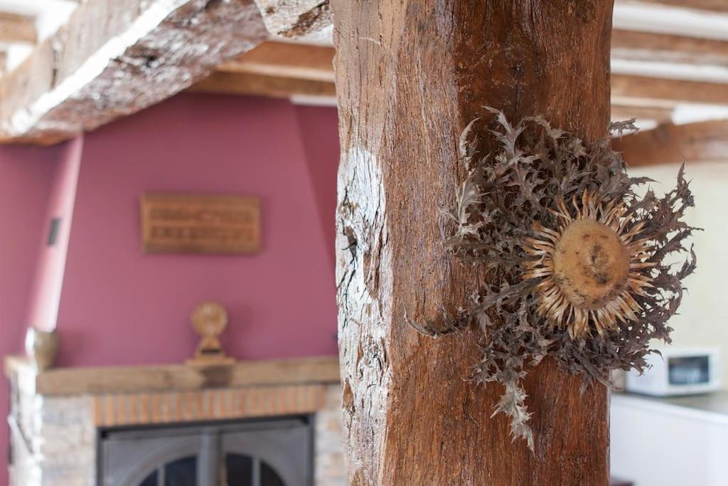 Casa Rural Enekoizar Abaurrea Alta Zewnętrze zdjęcie
